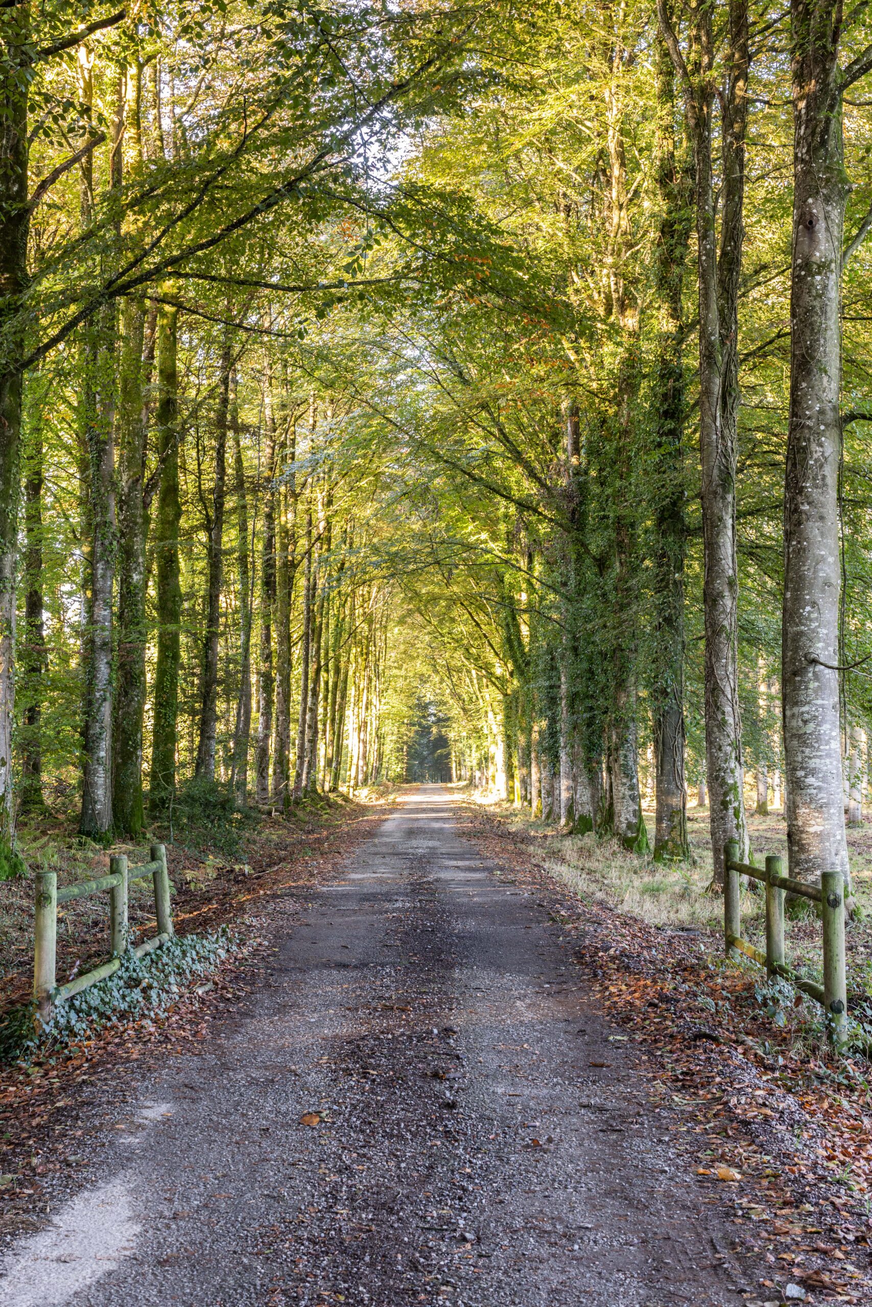 Domaine hardouinais scaled