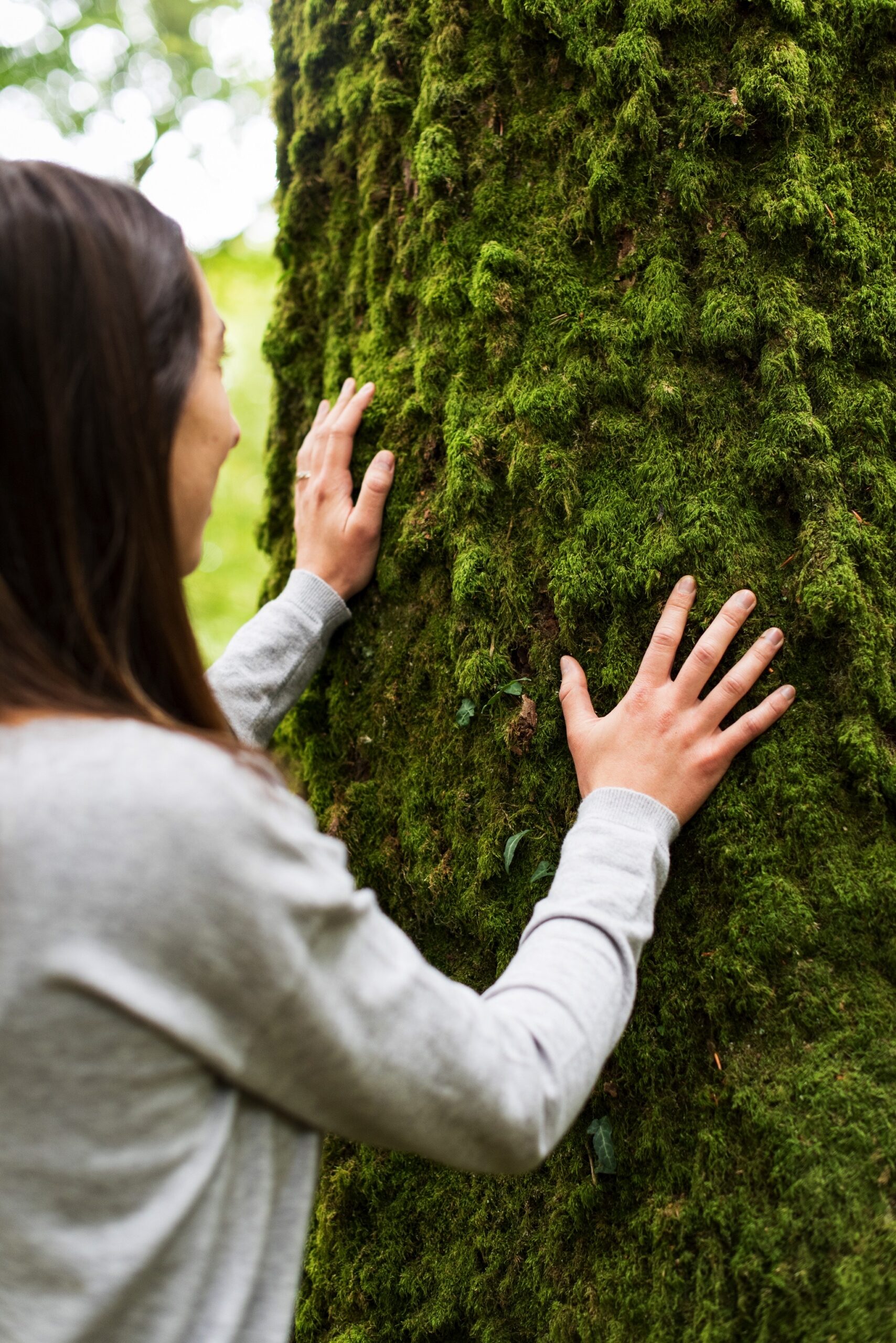Bien-être | bain de foret scaled bain-de-foret