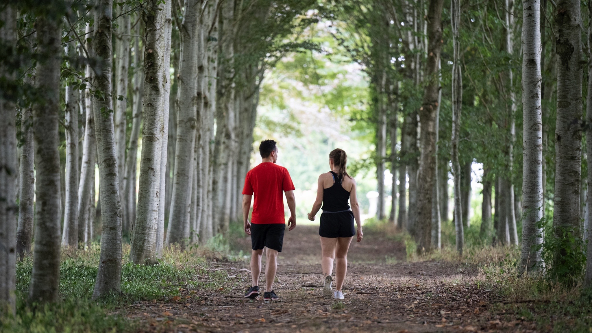 Bien-être | balades foret balades-foret
