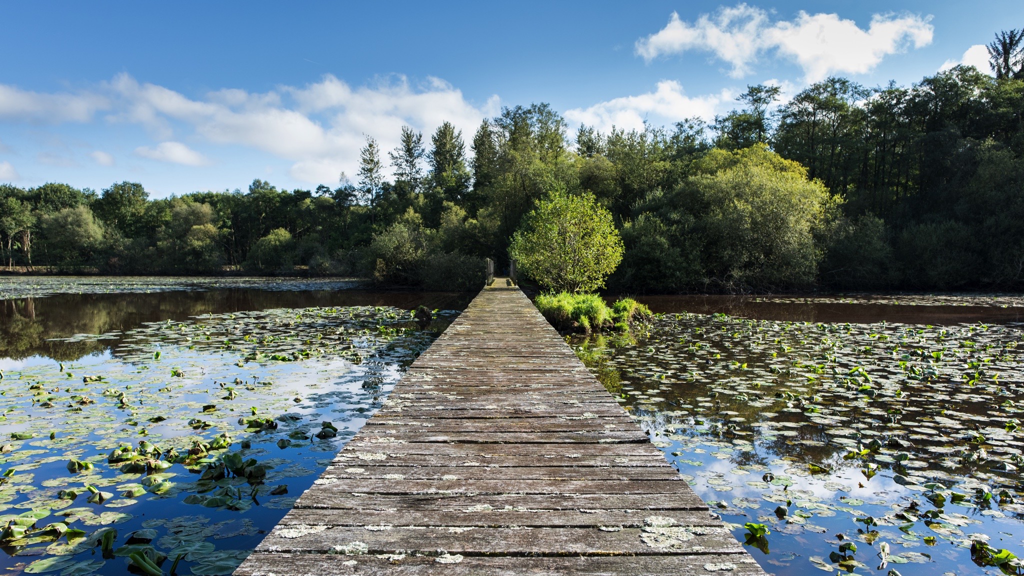 domaine hardouinais etang 1