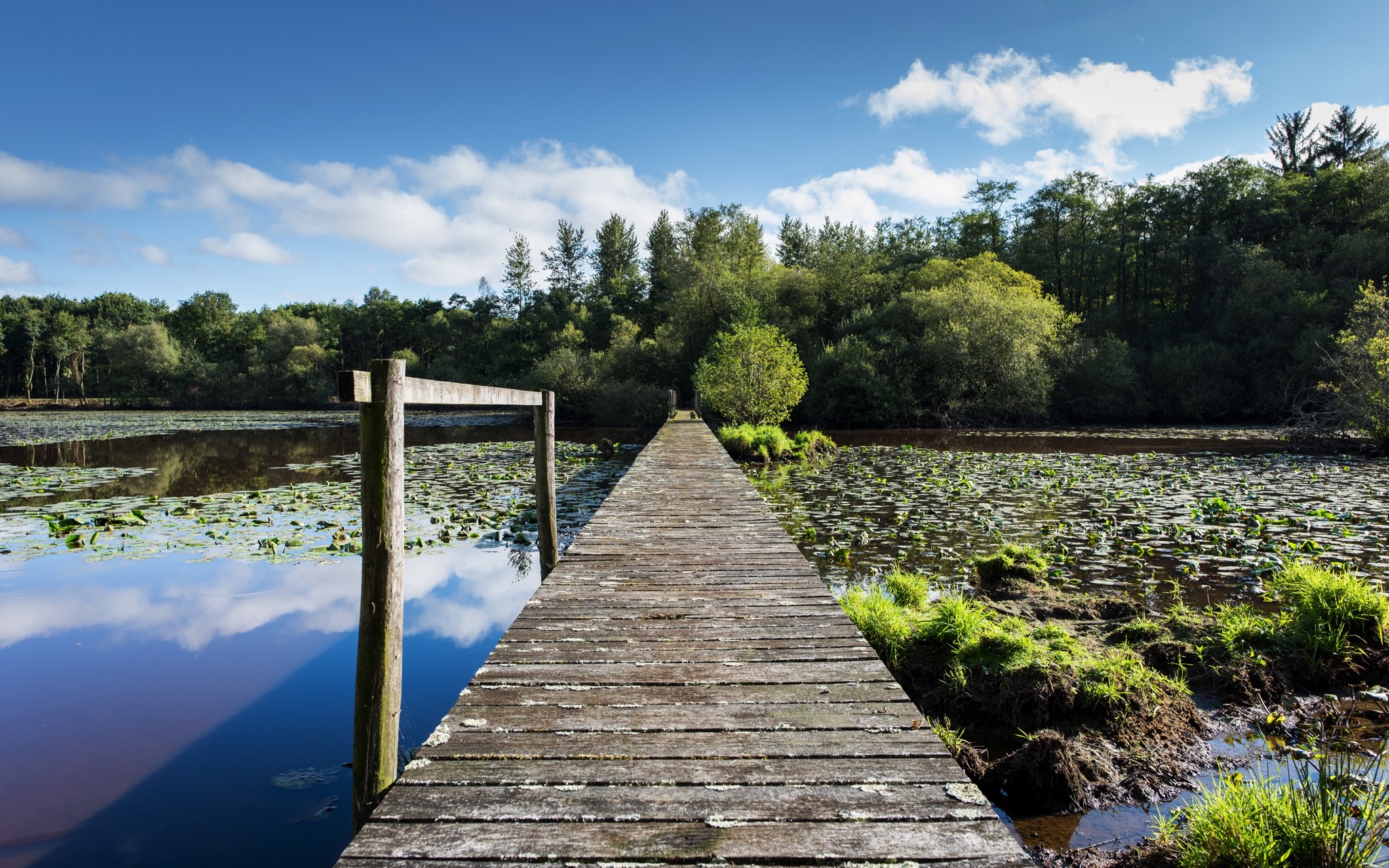 domaine hardouinais etang