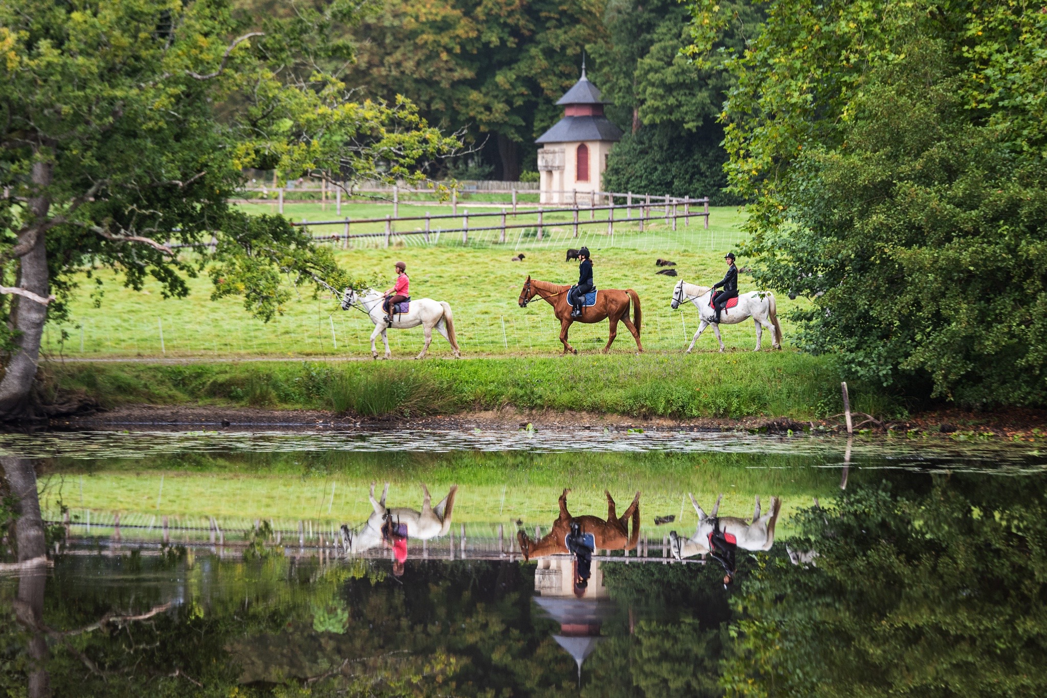 equitation haras domaine hardouinais
