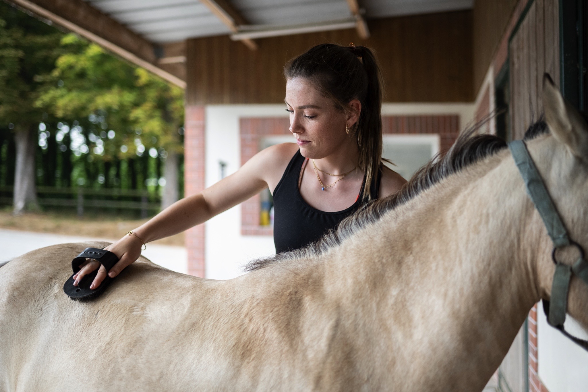 haras cheval hardouinais