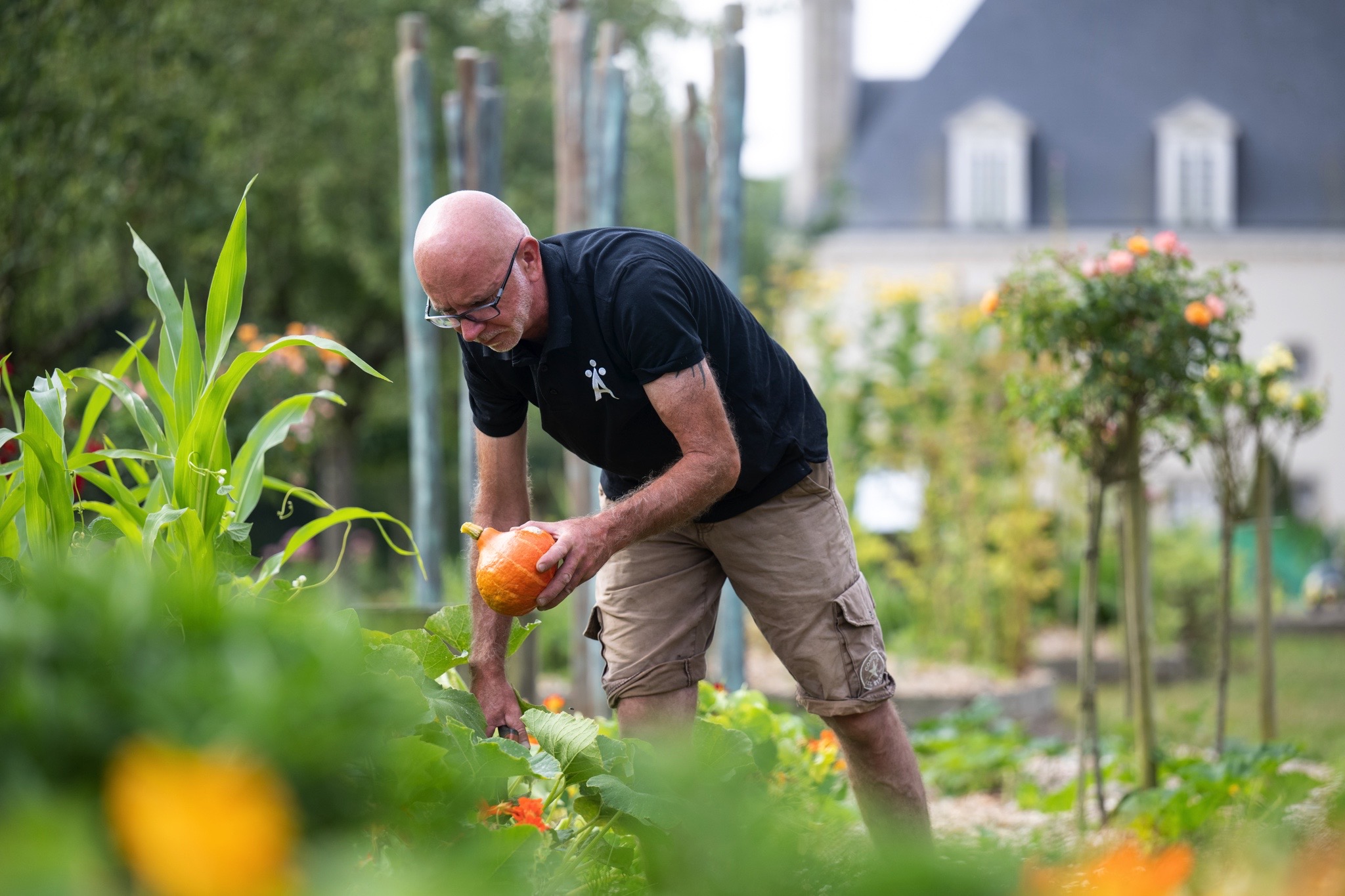 jardinier potager domaine hardouinais