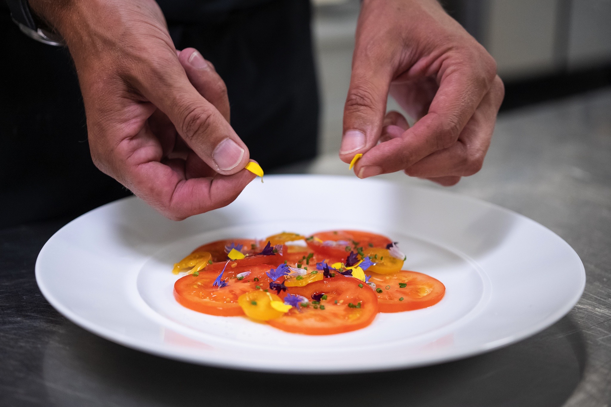 montage plat restaurant ar duen