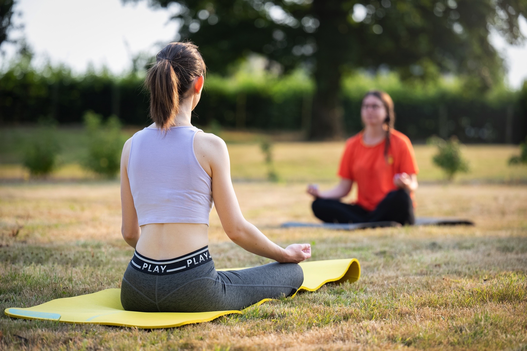 Bien-être | yoga domaine hardouinais 1 yoga-domaine-hardouinais-1